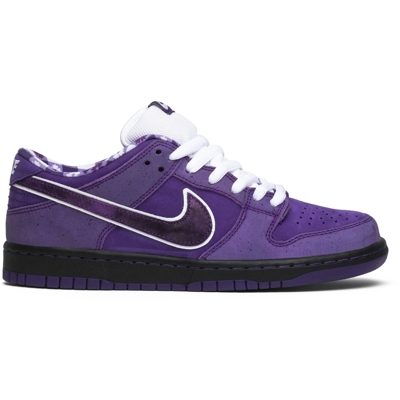 Concepts x Nike SB Dunk Low Purple Lobster BV1310-555 Coiloa